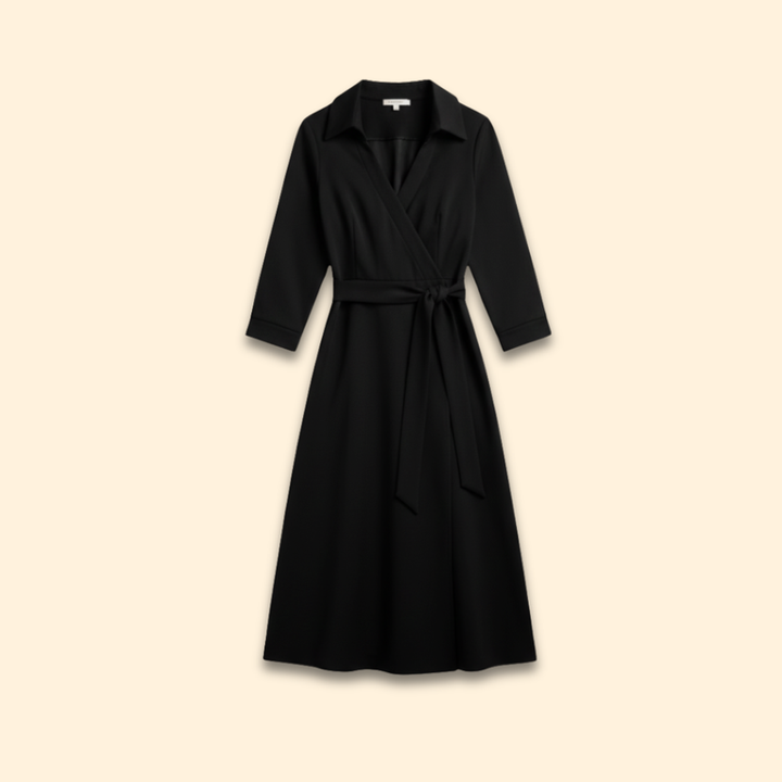 Women's A-Line Dress with Lapel Collar