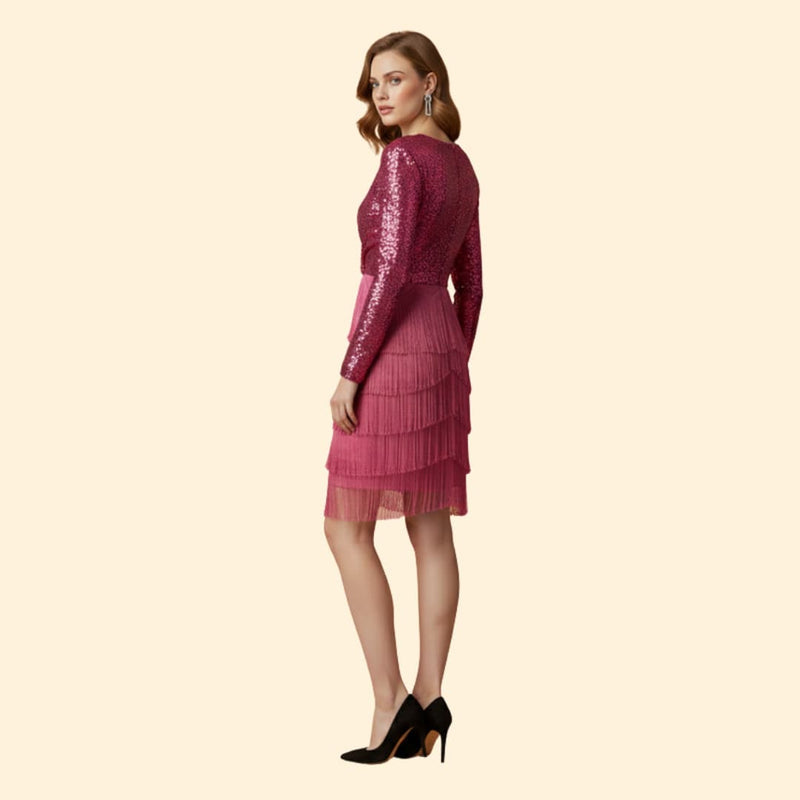 Women’s Long Sleeve Dress with V-Neckline