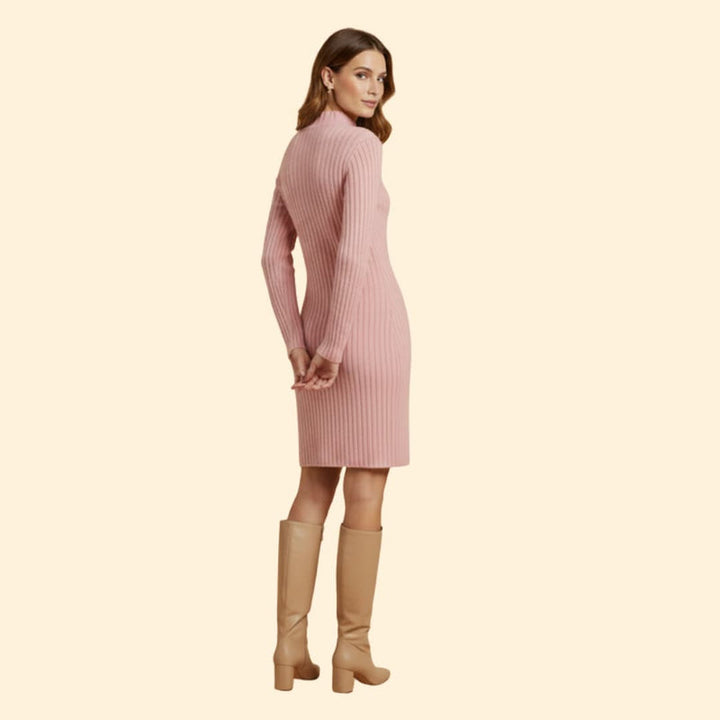 Women’s Ribbed Knit Dress with High Neck