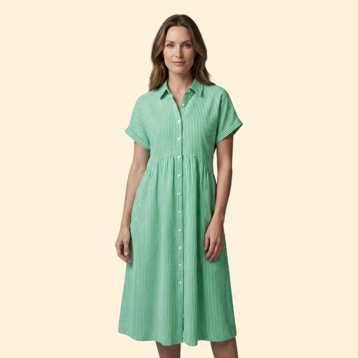 Women’s Shirt Dress with Pointed Collar