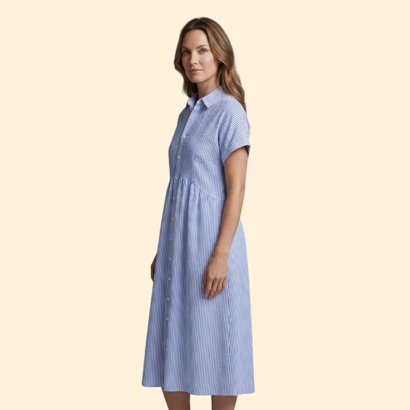 Women’s Shirt Dress with Pointed Collar