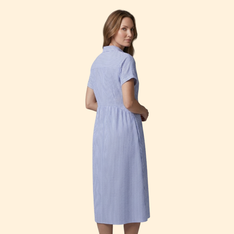 Women’s Shirt Dress with Pointed Collar