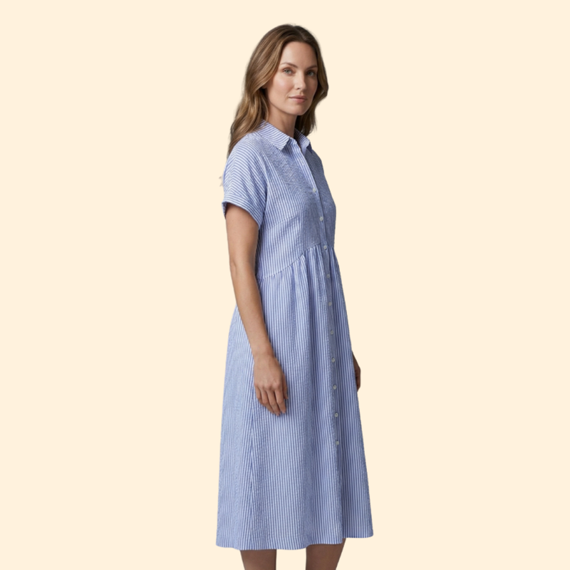 Women’s Shirt Dress with Pointed Collar