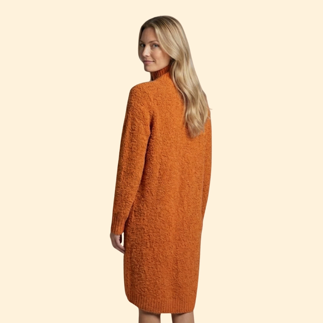 Women’s Sweater Dress with Button Henley Placket