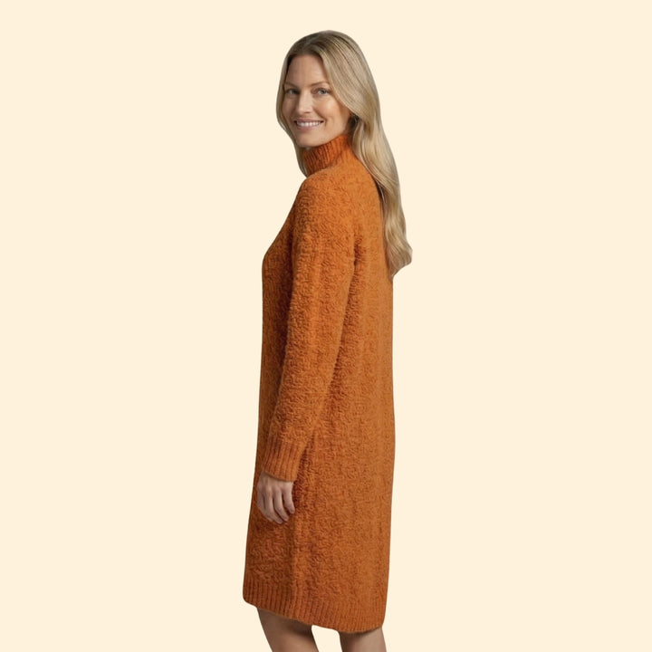 Women’s Sweater Dress with Button Henley Placket