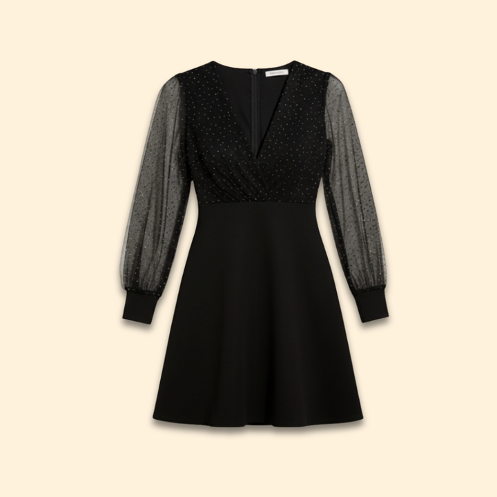 Women's A-Line Dress with Sheer Sleeves