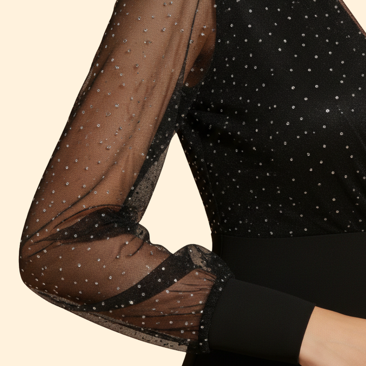 Women's A-Line Dress with Sheer Sleeves