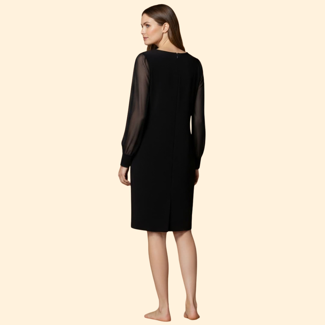 Women's  Mini Dress with Sheer Sleeves